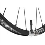 Bộ bánh xe đạp MTB DT Swiss XR 1700 Spline One 29 Nhôm